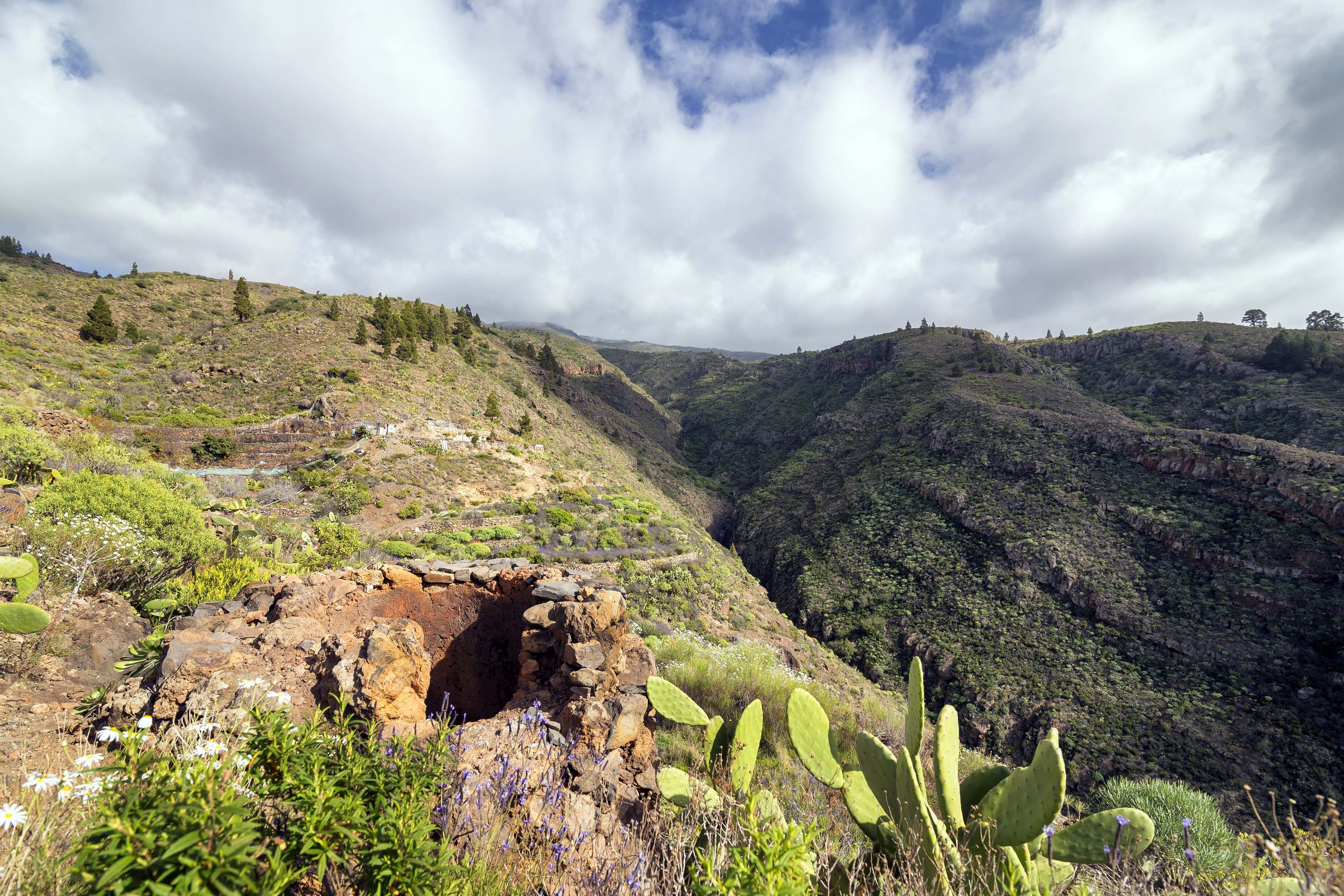 HORNO TEJA EN ARIPE