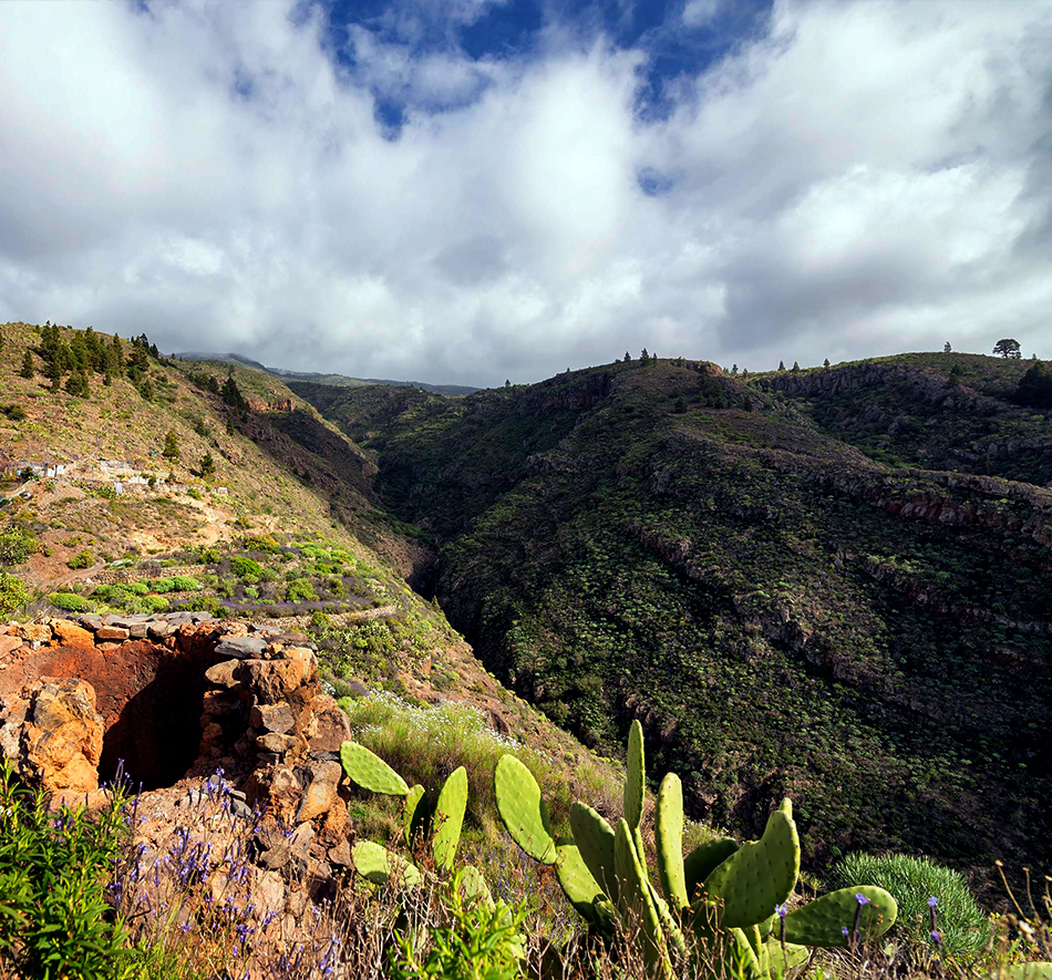 Guía de Isora