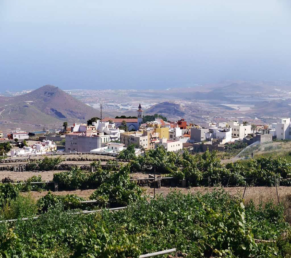 San Miguel de Abona