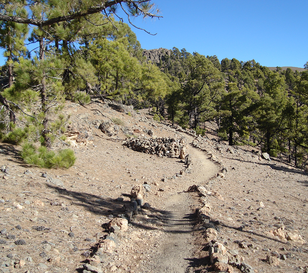 Vilaflor de Chasna