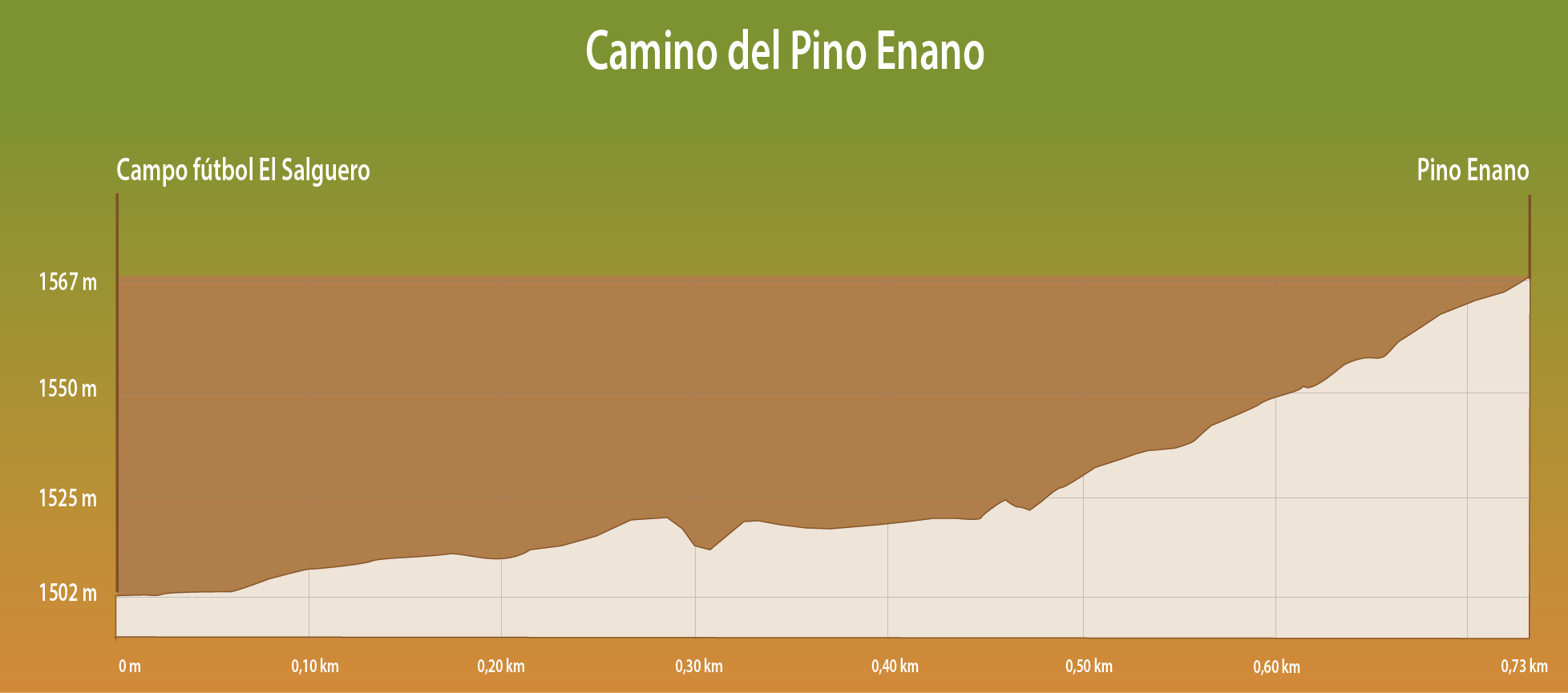 PERFIL DE ELEVACIÓN