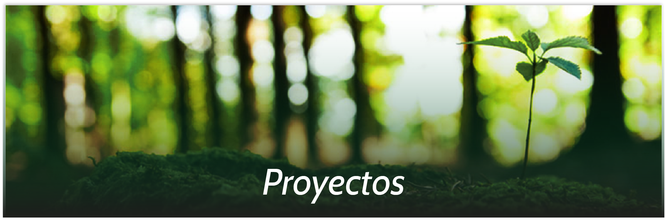 Contacto slider