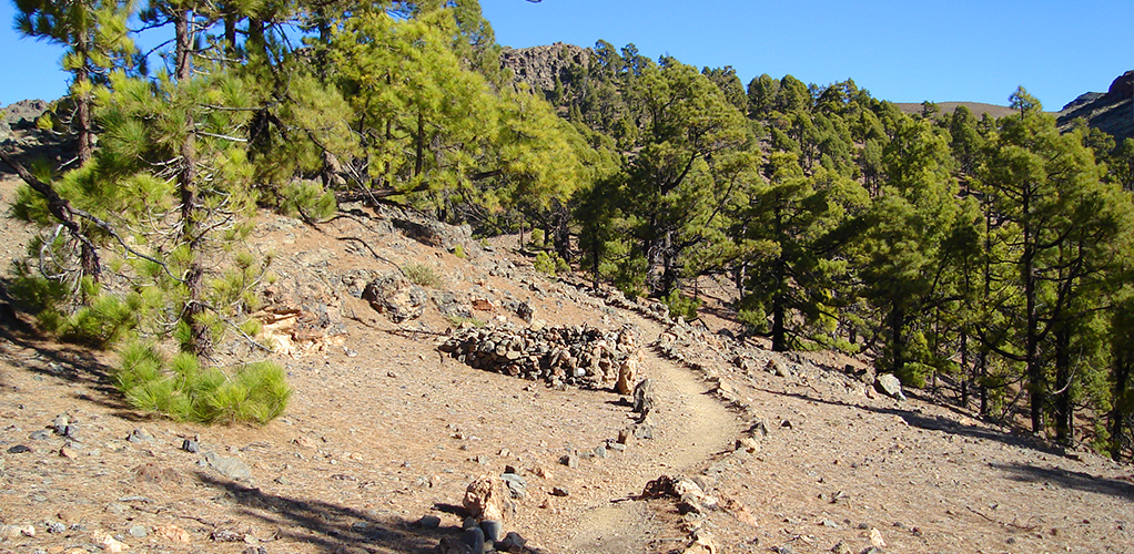 GR 131 Etapa 4 (Degollada de Guajara – Vilaflor)